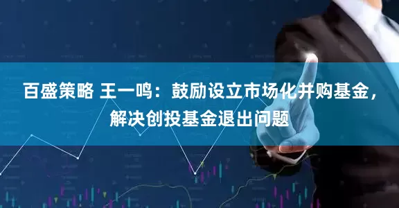 百盛策略 王一鸣：鼓励设立市场化并购基金，解决创投基金退出问题