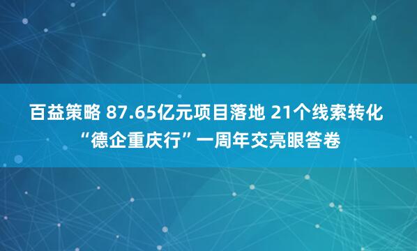 百益策略 87.65亿元项目落地 21个线索转化 “德企重庆行”一周年交亮眼答卷